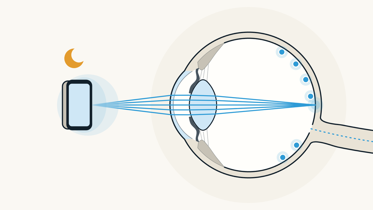 Illustration of an eye seen from the side looking at a phone at night: screen light reaches the retina, and some of its cells send a signal along the optic nerve.
