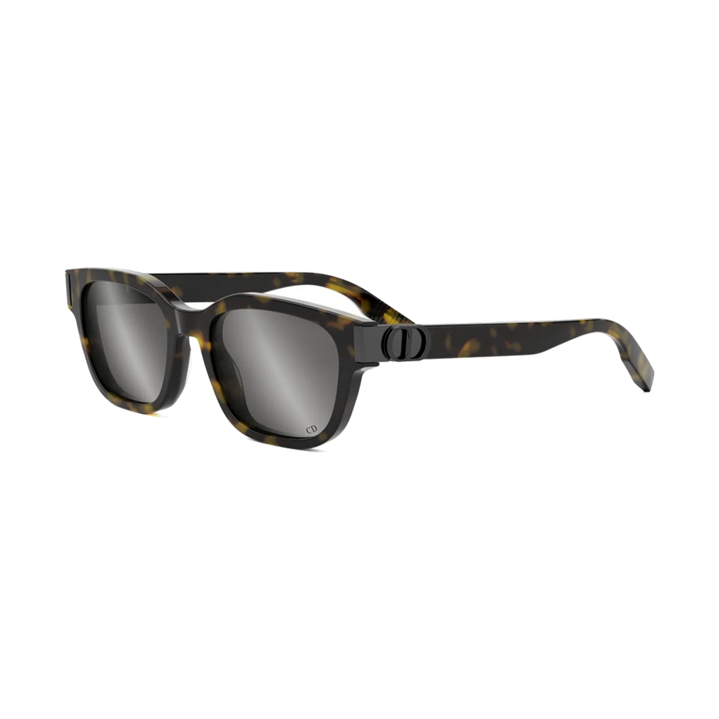 CD ICON S1I Sunglasses