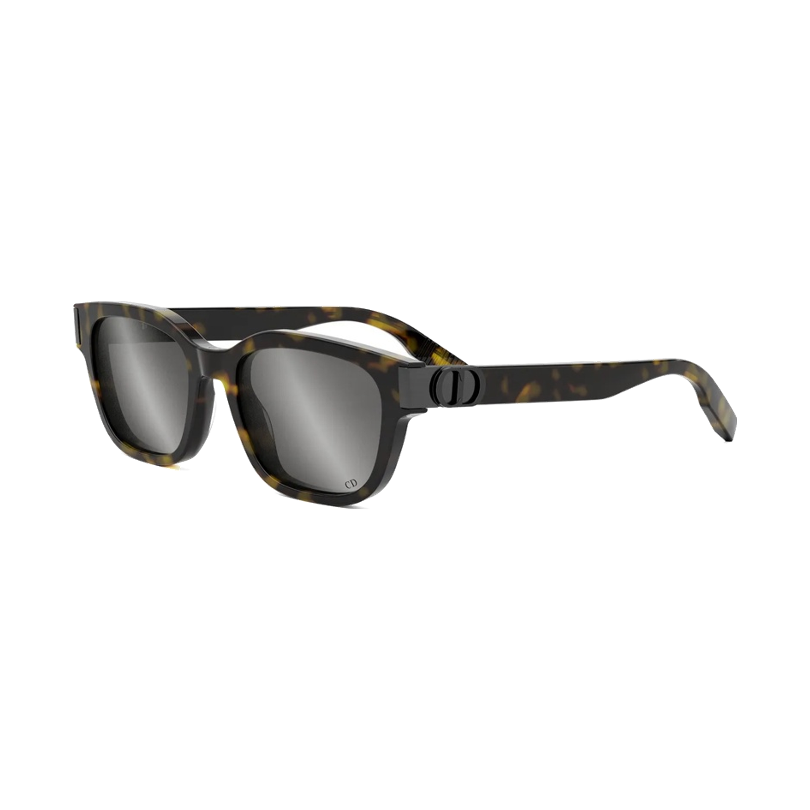 CD ICON S1I Sunglasses