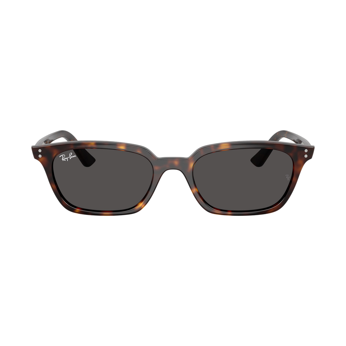 RB 4456 Sunglasses