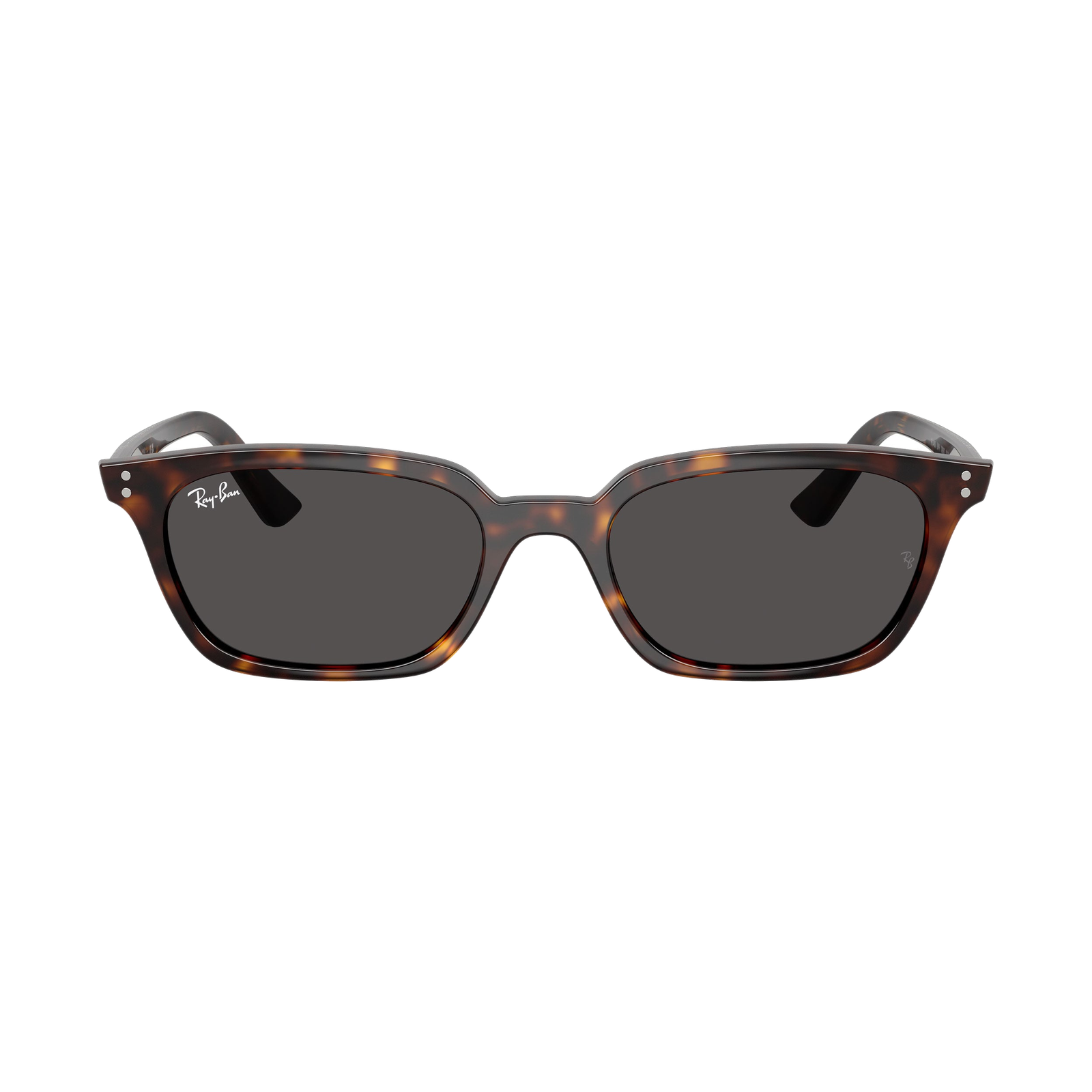 RB 4456 Sunglasses