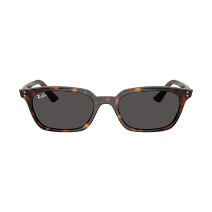 RB 4456 Sunglasses
