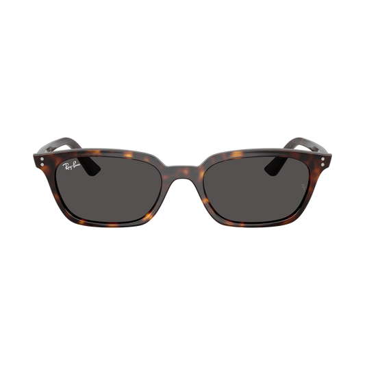 RB 4456 Sunglasses
