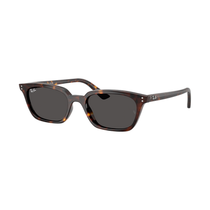 RB 4456 Sunglasses — view 2