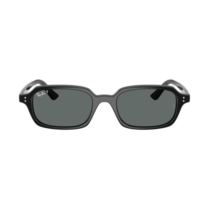 RB 4455 POL Sunglasses