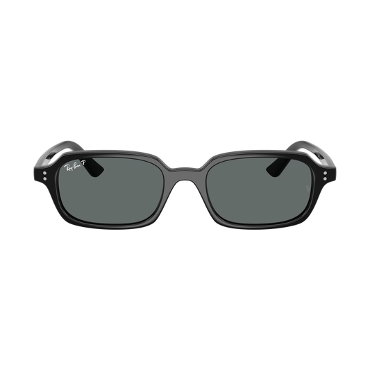RB 4455 POL Sunglasses