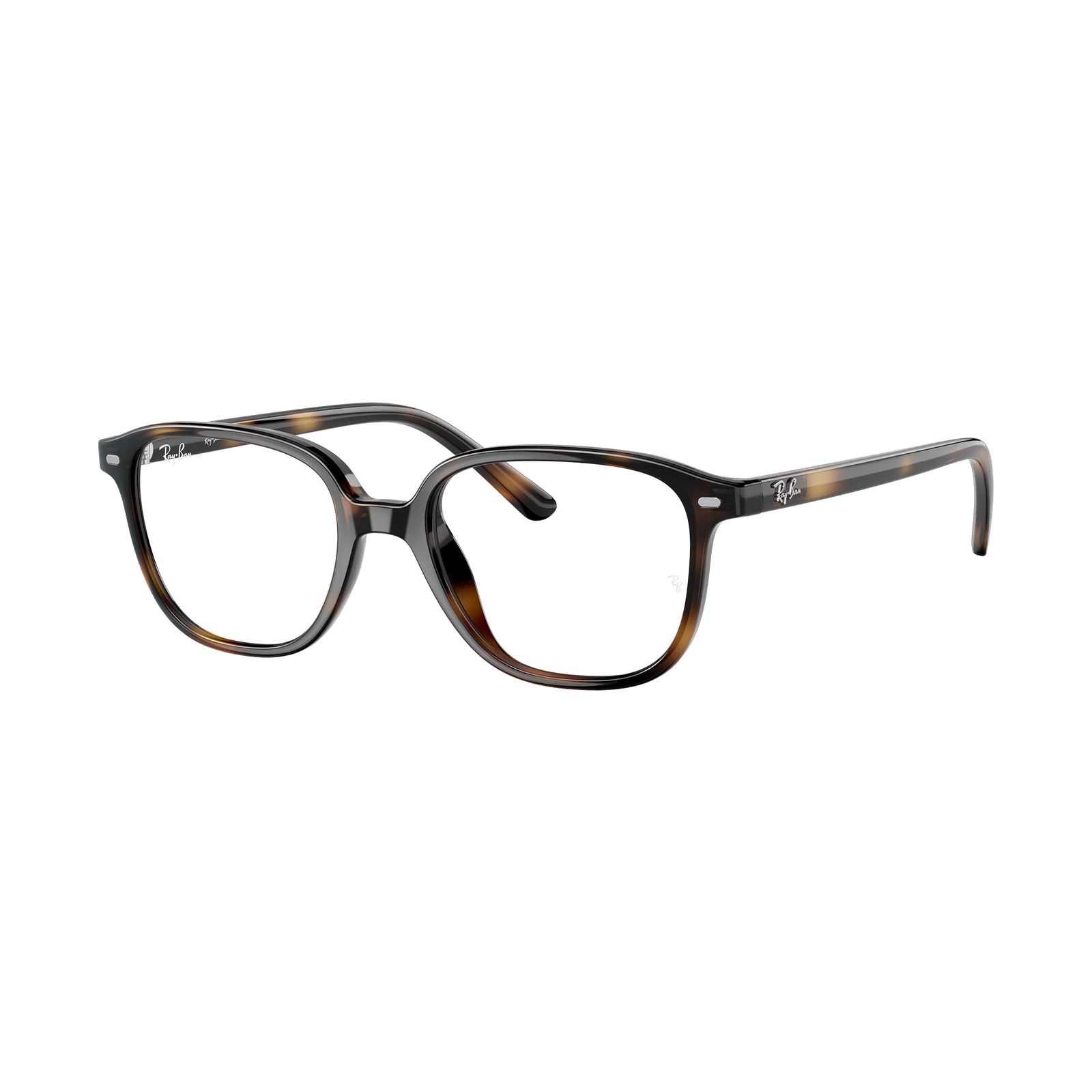 RB 9093V Eyeglasses — view 2