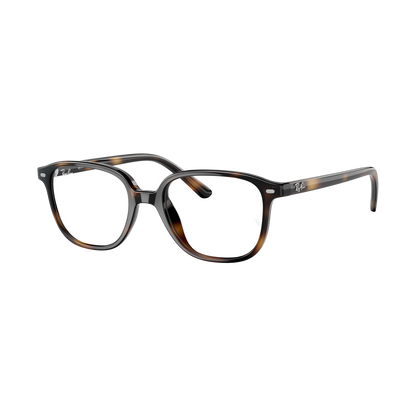RB 9093V Eyeglasses — view 2