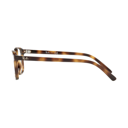 RB 9093V Eyeglasses — view 3
