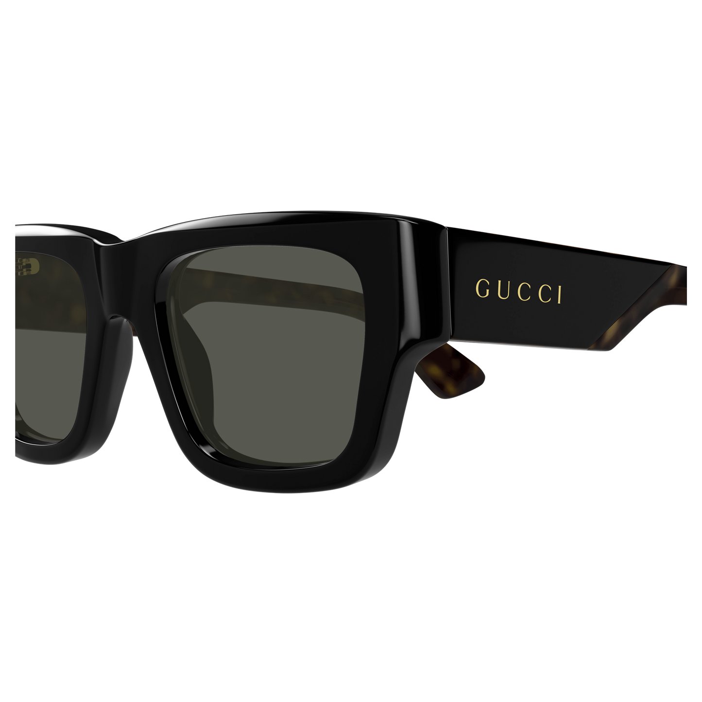 GG1668S 001