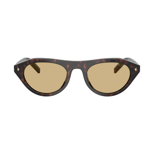 PR B15S Sunglasses