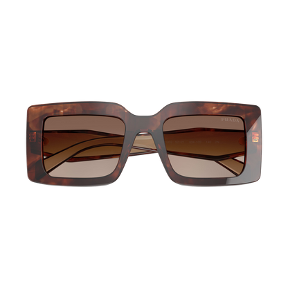 PR D01S Sunglasses — view 4