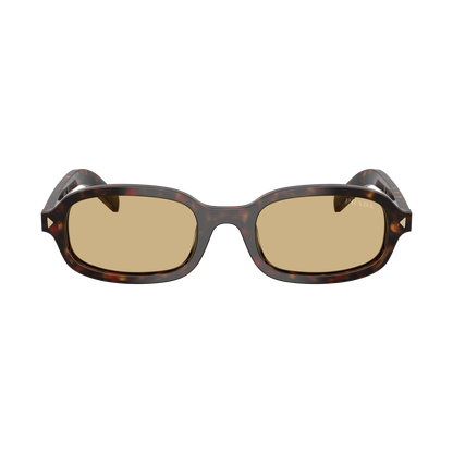 PR D06S Sunglasses