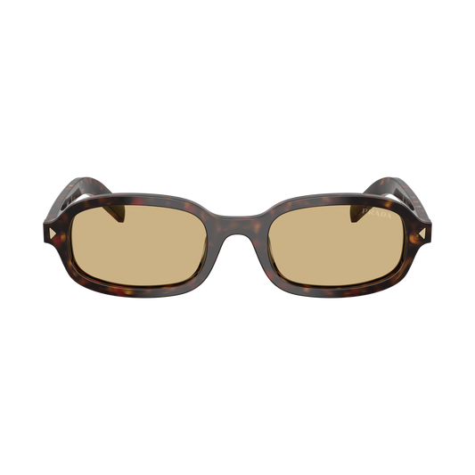 PR D06S Sunglasses